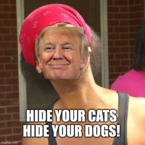 Deranged old man | HIDE YOUR CATS HIDE YOUR DOGS! | image tagged in maga,trump,nevertrump,kamala harris,republican,donald trump | made w/ Imgflip meme maker