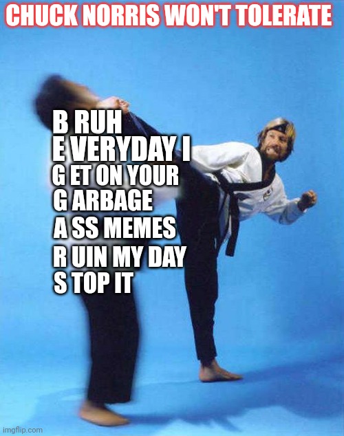 Chuck Norris won't tolerate the ... | CHUCK NORRIS WON'T TOLERATE; B RUH; E VERYDAY I; G ET ON YOUR; G ARBAGE; A SS MEMES; R UIN MY DAY; S TOP IT | image tagged in roundhouse kick chuck norris,upvote begging | made w/ Imgflip meme maker