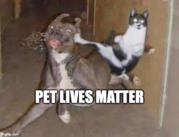 Pet Lives Matter | PET LIVES MATTER | image tagged in trump,pets | made w/ Imgflip meme maker