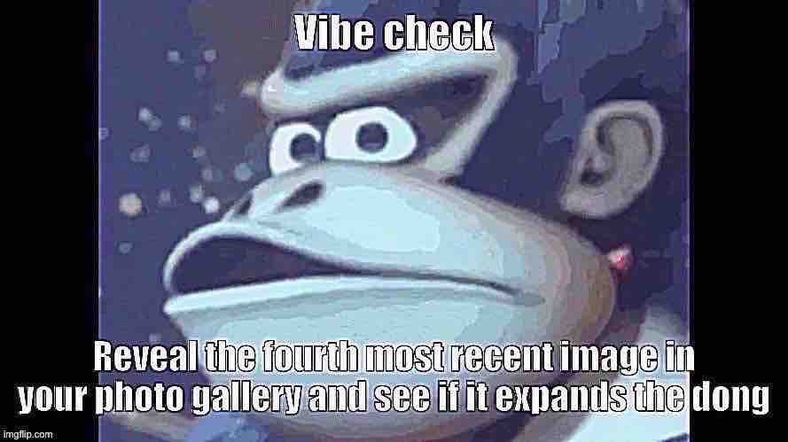 Donkey Kong Vibe Check | image tagged in donkey kong vibe check | made w/ Imgflip meme maker