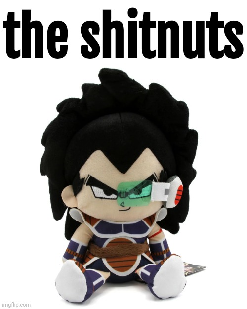 raditz plush | the shitnuts | image tagged in raditz plush | made w/ Imgflip meme maker