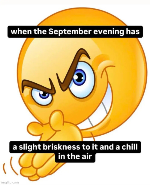 real | made w/ Imgflip meme maker