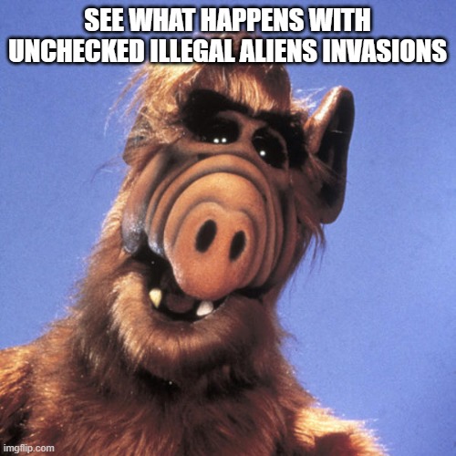 Alf  | SEE WHAT HAPPENS WITH UNCHECKED ILLEGAL ALIENS INVASIONS | image tagged in alf | made w/ Imgflip meme maker