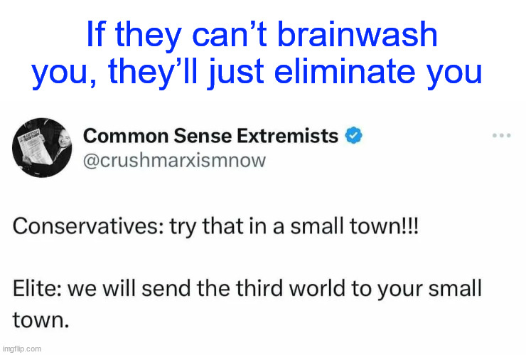 If they can’t brainwash you, they’ll just eliminate you | made w/ Imgflip meme maker