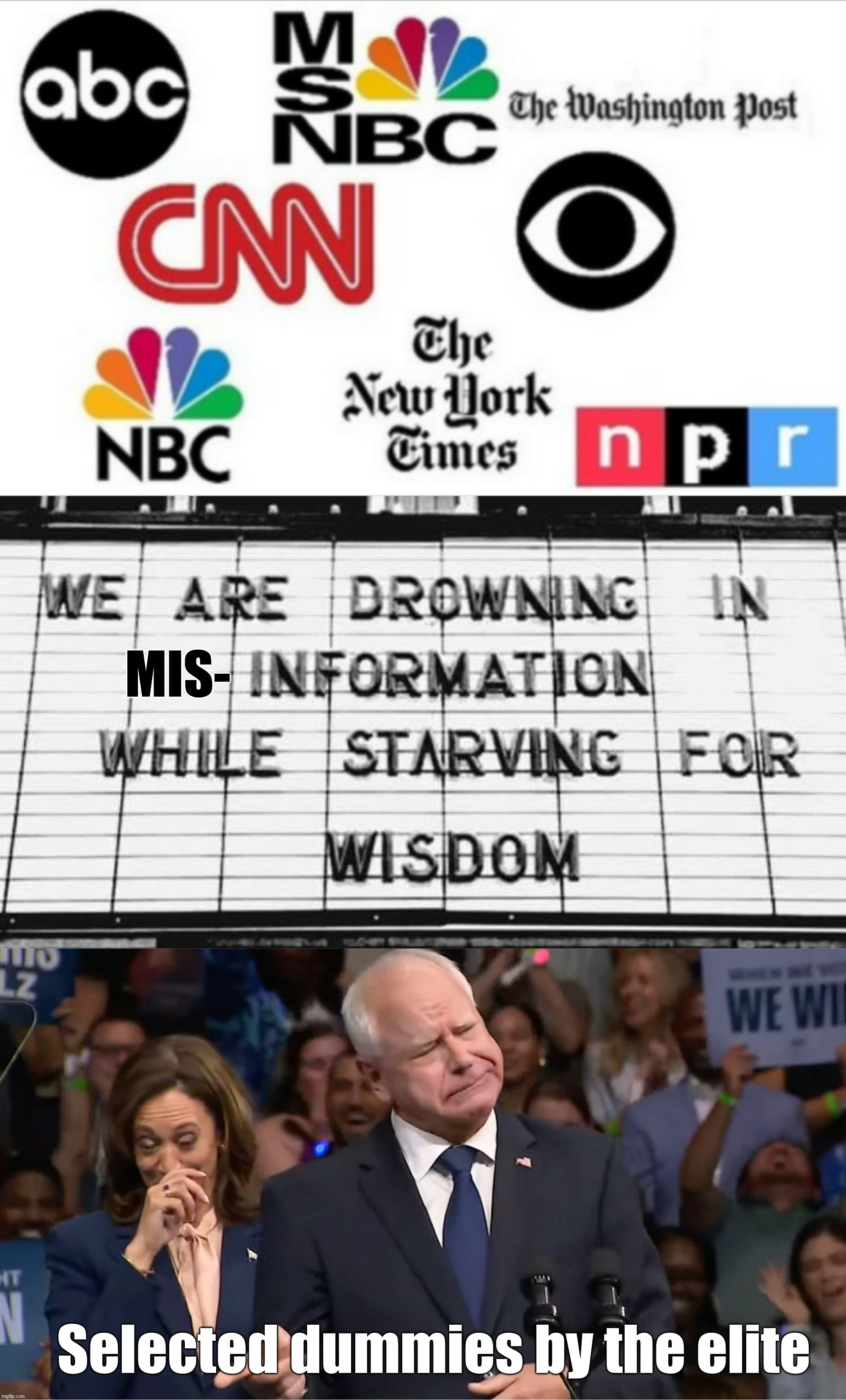 The misinformation for the misinformed | MIS-; Selected dummies by the elite | image tagged in media lies,tim walz and kamala harris | made w/ Imgflip meme maker