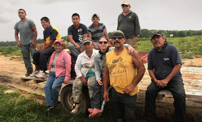 High Quality Mexican Farm Workers Blank Meme Template