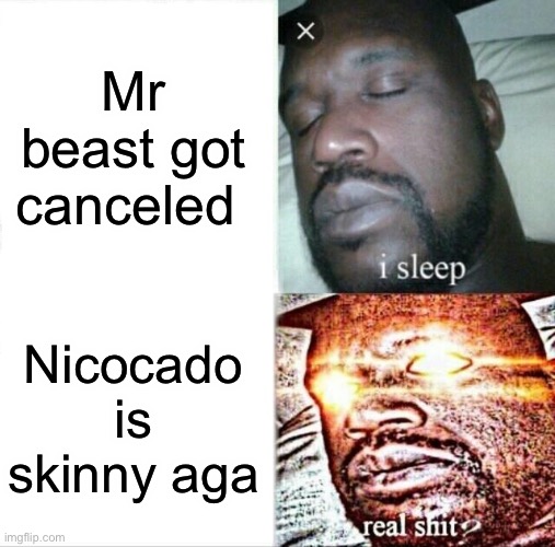 Sleeping Shaq | Mr beast got canceled; Nicocado is skinny again | image tagged in memes,sleeping shaq | made w/ Imgflip meme maker