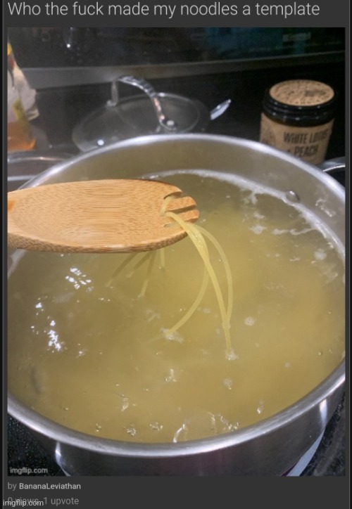 who the fuck made my noodles a template | image tagged in who the fuck made my noodles a template | made w/ Imgflip meme maker