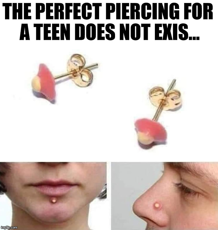 Would you wear these? | THE PERFECT PIERCING FOR 
A TEEN DOES NOT EXIS... | image tagged in pimples,piercings,perfection | made w/ Imgflip meme maker