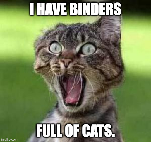 Binders full of cats | I HAVE BINDERS; FULL OF CATS. | image tagged in scared cat | made w/ Imgflip meme maker