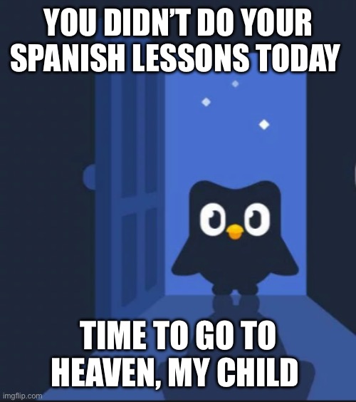 Duolingo bird | YOU DIDN’T DO YOUR SPANISH LESSONS TODAY; TIME TO GO TO HEAVEN, MY CHILD | image tagged in duolingo bird | made w/ Imgflip meme maker