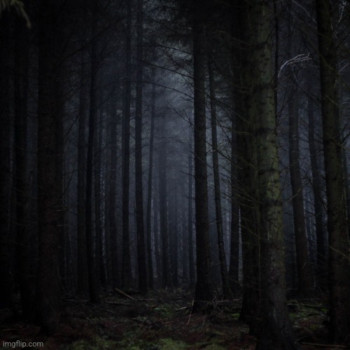 Dark forest | image tagged in dark forest | made w/ Imgflip meme maker