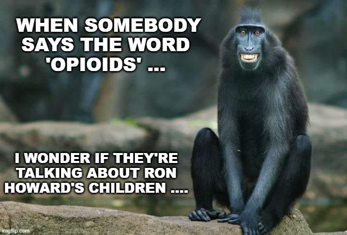 WHEN SOMEBODY SAYS THE WORD
'OPIOIDS' ... I WONDER IF THEY'RE TALKING ABOUT RON HOWARD'S CHILDREN .... | image tagged in current events | made w/ Imgflip meme maker