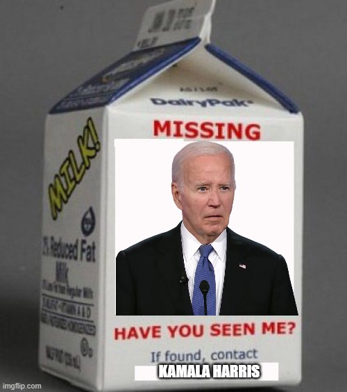 Milk carton | KAMALA HARRIS | image tagged in milk carton | made w/ Imgflip meme maker