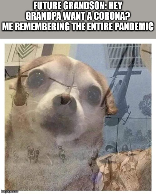 at least it's almost over... | FUTURE GRANDSON: HEY GRANDPA WANT A CORONA?
ME REMEMBERING THE ENTIRE PANDEMIC | image tagged in dog's remember | made w/ Imgflip meme maker