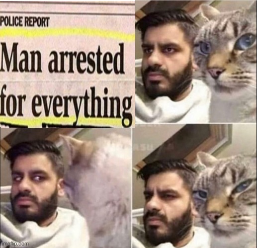 how did he accomplish this?.. | image tagged in cat and man | made w/ Imgflip meme maker