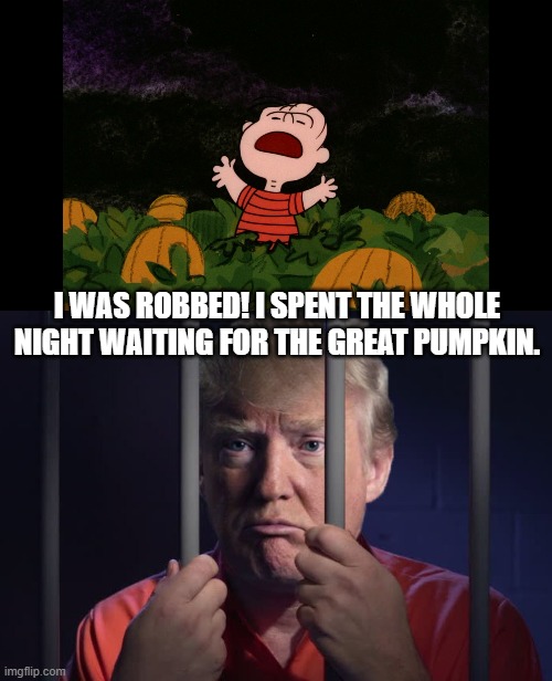 It's the Great Felon, Charlie Brown | I WAS ROBBED! I SPENT THE WHOLE NIGHT WAITING FOR THE GREAT PUMPKIN. | image tagged in great pumpkin,trump in jail | made w/ Imgflip meme maker