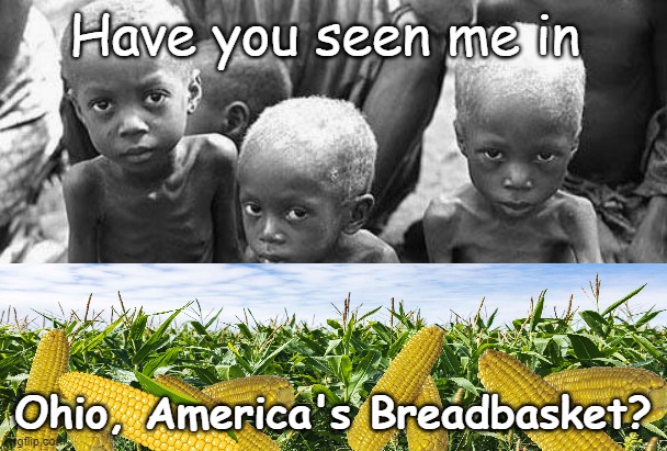 starving africans | Have you seen me in Ohio, America's Breadbasket? | image tagged in starving africans | made w/ Imgflip meme maker