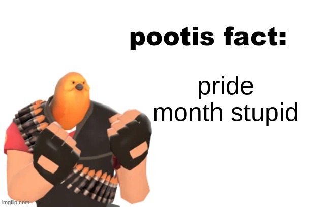 pootis fact | pride month stupid | image tagged in pootis fact | made w/ Imgflip meme maker