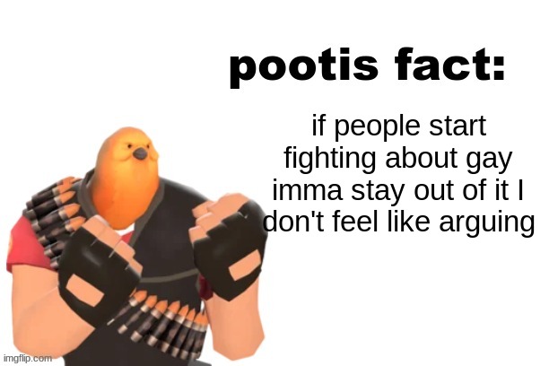 pootis fact | if people start fighting about gay imma stay out of it I don't feel like arguing | image tagged in pootis fact | made w/ Imgflip meme maker