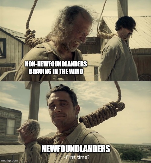 First time? | NON-NEWFOUNDLANDERS BRACING IN THE WIND; NEWFOUNDLANDERS | image tagged in first time | made w/ Imgflip meme maker