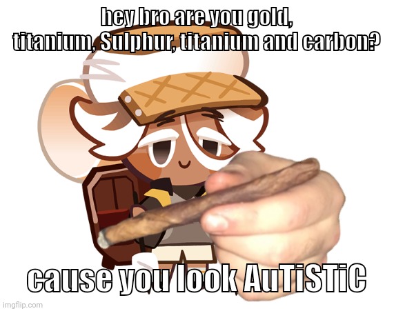 smore cookie with a blunt | hey bro are you gold, titanium, Sulphur, titanium and carbon? cause you look AuTiSTiC | image tagged in smore cookie with a blunt | made w/ Imgflip meme maker