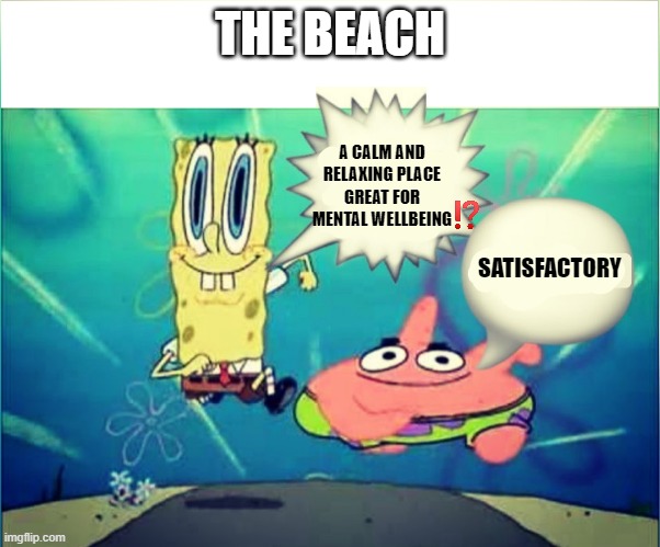 The beach | THE BEACH; A CALM AND RELAXING PLACE GREAT FOR MENTAL WELLBEING; SATISFACTORY | image tagged in satisfactory | made w/ Imgflip meme maker