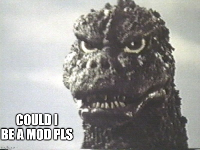 Plz | COULD I BE A MOD PLS | image tagged in godzilla this is why i destroy cities | made w/ Imgflip meme maker