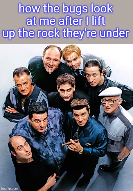 how the bugs look at me after I lift up the rock they're under | made w/ Imgflip meme maker