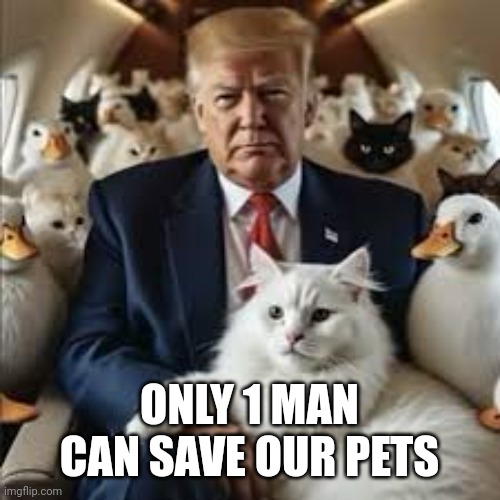 ONLY 1 MAN CAN SAVE OUR PETS | made w/ Imgflip meme maker