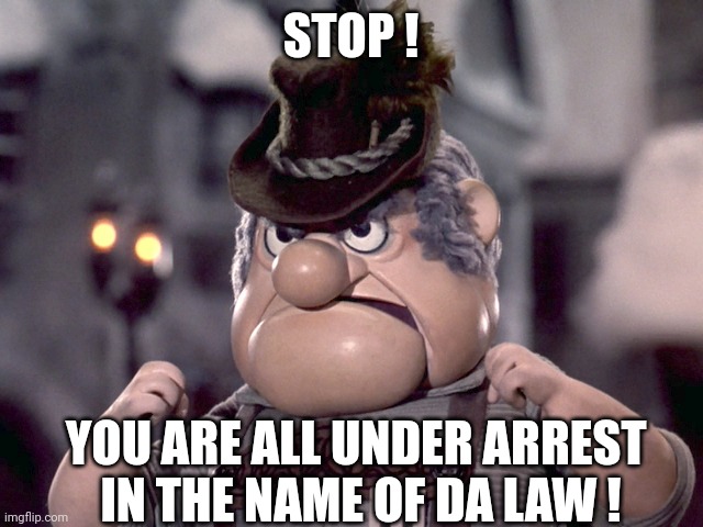 Bergermeister Meisterberger | STOP ! YOU ARE ALL UNDER ARREST 
IN THE NAME OF DA LAW ! | image tagged in bergermeister meisterberger | made w/ Imgflip meme maker