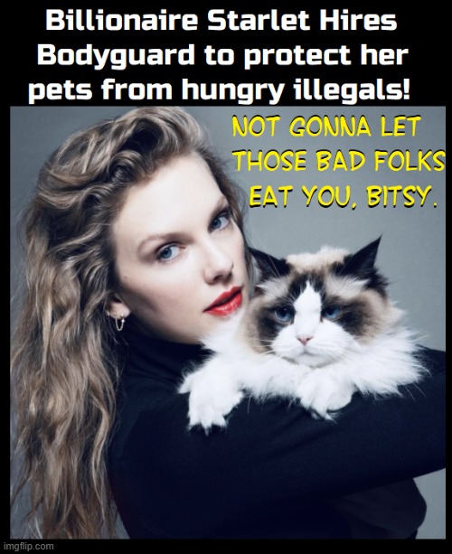 She's out of the league of po' folks, middle class or rich | image tagged in vince vance,illegal immigrants,eating,pets,taylor swift,bodyguards | made w/ Imgflip meme maker