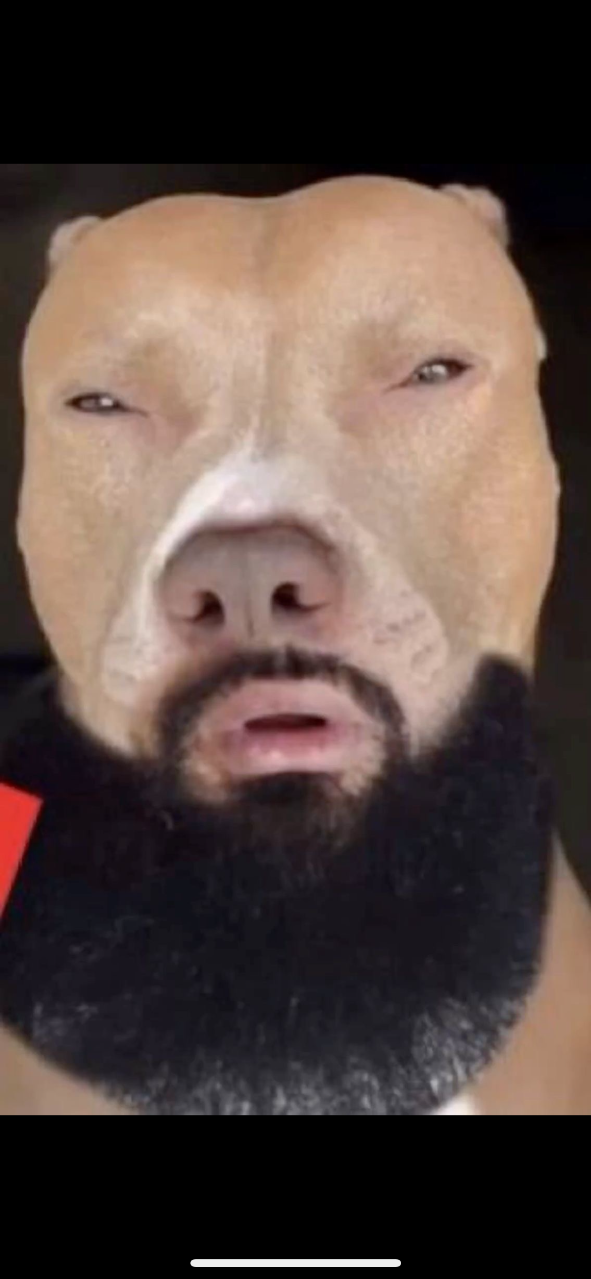 Funny meme Blank Meme Template