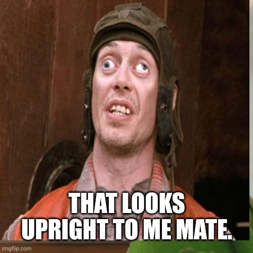 Steve Buscemi | THAT LOOKS UPRIGHT TO ME MATE. | image tagged in crazy eyes | made w/ Imgflip meme maker