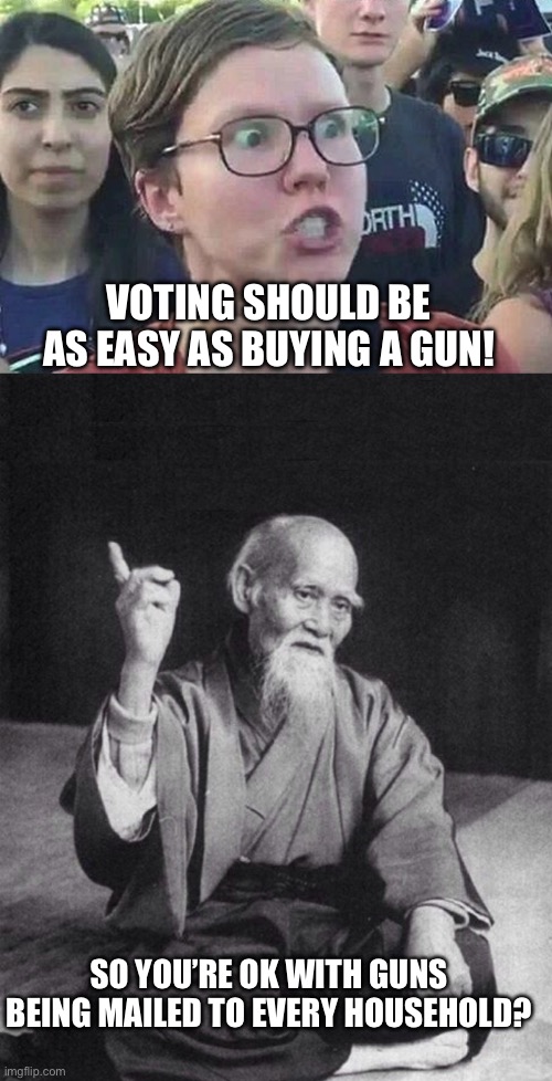 VOTING SHOULD BE AS EASY AS BUYING A GUN! SO YOU’RE OK WITH GUNS BEING MAILED TO EVERY HOUSEHOLD? | image tagged in triggered liberal,wise old chinese man | made w/ Imgflip meme maker