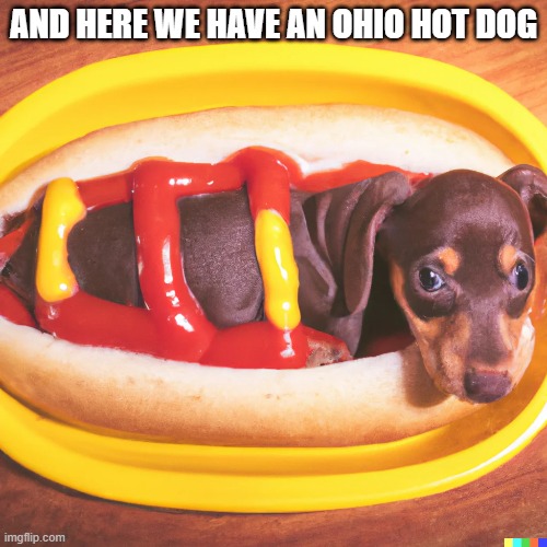 memes by Brad - A cute little doggie from Ohio - humor | AND HERE WE HAVE AN OHIO HOT DOG | image tagged in funny,dogs an cats,cats,hot dog,humor,kittens | made w/ Imgflip meme maker