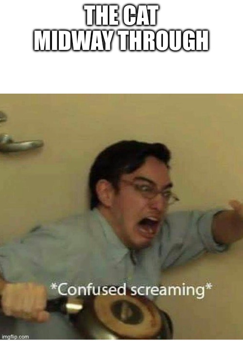 confused screaming | THE CAT MIDWAY THROUGH | image tagged in confused screaming | made w/ Imgflip meme maker