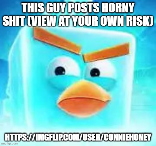 Ice bird | THIS GUY POSTS HORNY SHIT (VIEW AT YOUR OWN RISK); HTTPS://IMGFLIP.COM/USER/CONNIEHONEY | image tagged in ice bird | made w/ Imgflip meme maker