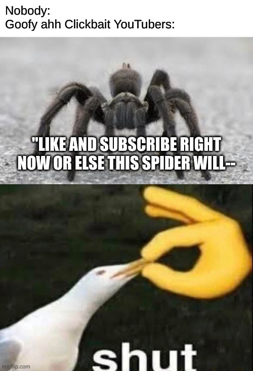 Obnoxious. No other word for them. Enough said. | Nobody:
Goofy ahh Clickbait YouTubers:; "LIKE AND SUBSCRIBE RIGHT NOW OR ELSE THIS SPIDER WILL-- | image tagged in tarantula,shut,youtuber,clickbait,cringe | made w/ Imgflip meme maker