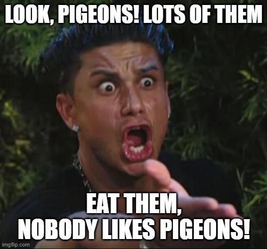 DJ Pauly D Meme | LOOK, PIGEONS! LOTS OF THEM EAT THEM, NOBODY LIKES PIGEONS! | image tagged in memes,dj pauly d | made w/ Imgflip meme maker