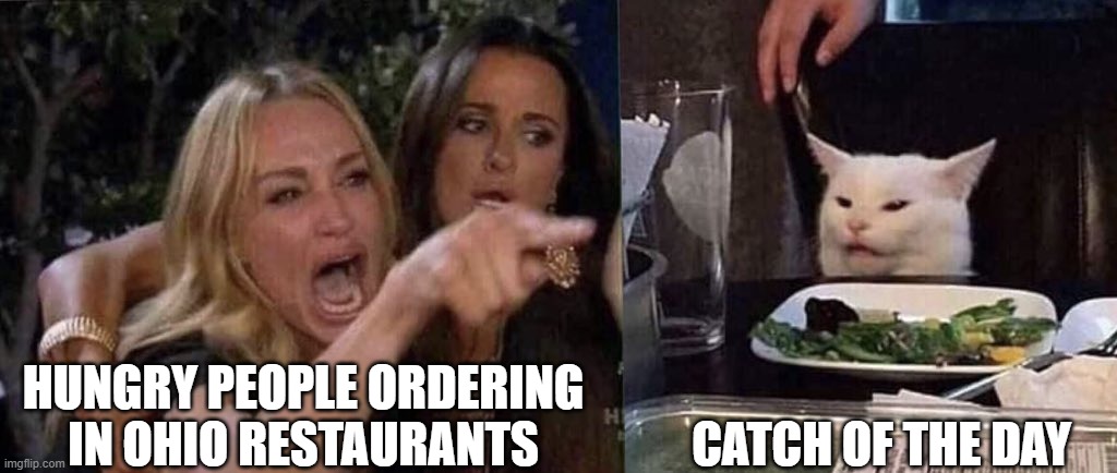 woman yelling at cat | HUNGRY PEOPLE ORDERING IN OHIO RESTAURANTS; CATCH OF THE DAY | image tagged in woman yelling at cat | made w/ Imgflip meme maker