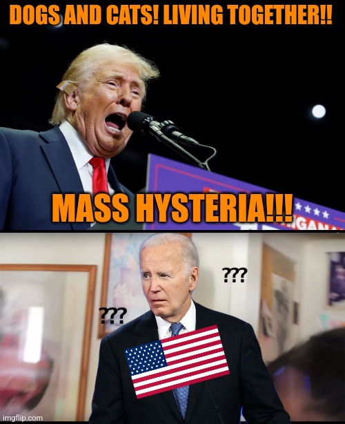 DOGS AND CATS! LIVING TOGETHER!! MASS HYSTERIA!!! | image tagged in comedy,trump,biden | made w/ Imgflip meme maker