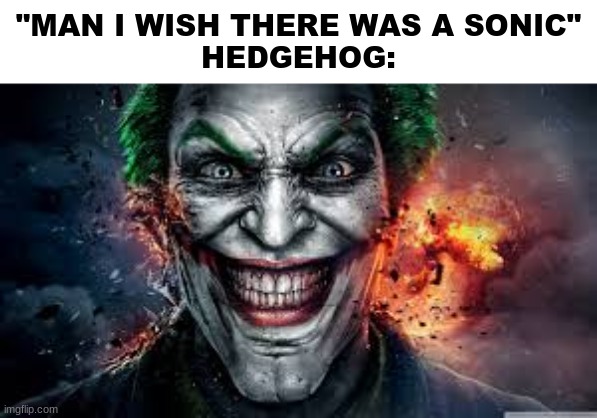 Jonkler | "MAN I WISH THERE WAS A SONIC"

HEDGEHOG: | image tagged in jonkler | made w/ Imgflip meme maker