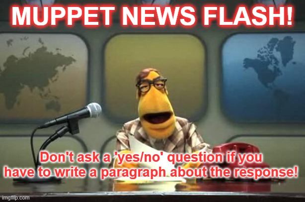 Muppet Reporter | MUPPET NEWS FLASH! Don't ask a 'yes/no' question if you have to write a paragraph about the response! | image tagged in muppet reporter | made w/ Imgflip meme maker