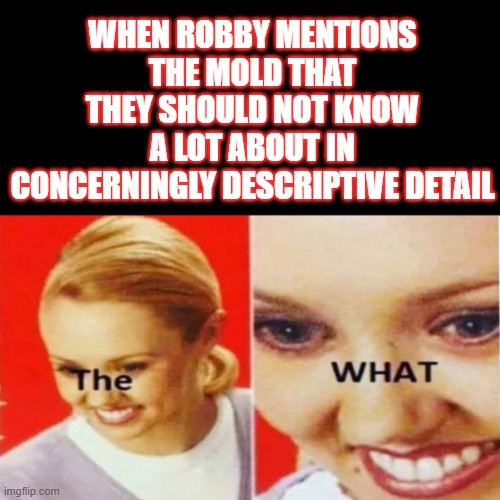 mold presentation time | WHEN ROBBY MENTIONS THE MOLD THAT THEY SHOULD NOT KNOW A LOT ABOUT IN CONCERNINGLY DESCRIPTIVE DETAIL | image tagged in the what | made w/ Imgflip meme maker