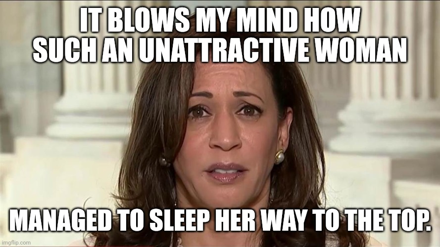 Ugly AND dumb. | IT BLOWS MY MIND HOW SUCH AN UNATTRACTIVE WOMAN; MANAGED TO SLEEP HER WAY TO THE TOP. | image tagged in kamala harris | made w/ Imgflip meme maker
