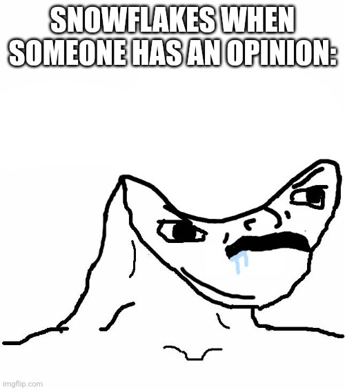 Angry Brainlet  | SNOWFLAKES WHEN SOMEONE HAS AN OPINION: | image tagged in angry brainlet | made w/ Imgflip meme maker