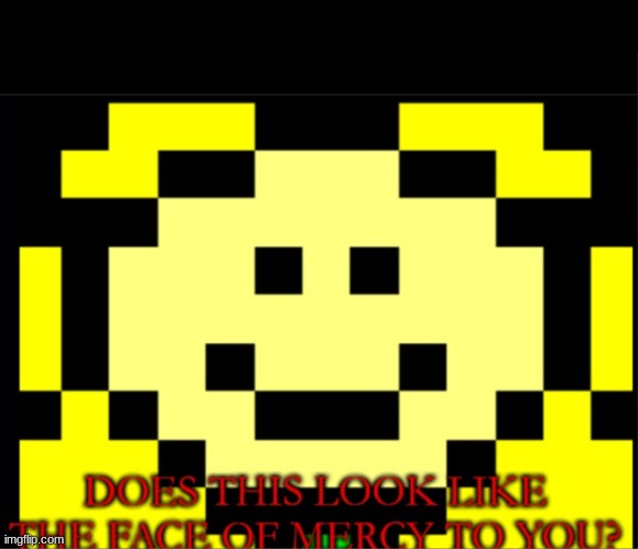 Flowey: Does this look like the face of mercy to you? | image tagged in flowey does this look like the face of mercy to you | made w/ Imgflip meme maker