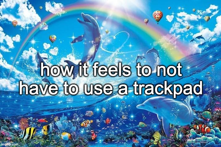 finally got the adapter | how it feels to not have to use a trackpad | image tagged in happy dolphin rainbow | made w/ Imgflip meme maker