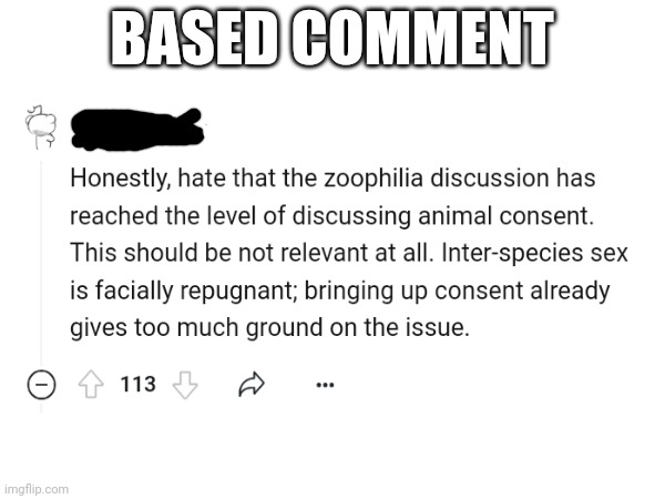 Based moment: | BASED COMMENT | image tagged in anti furry,based | made w/ Imgflip meme maker